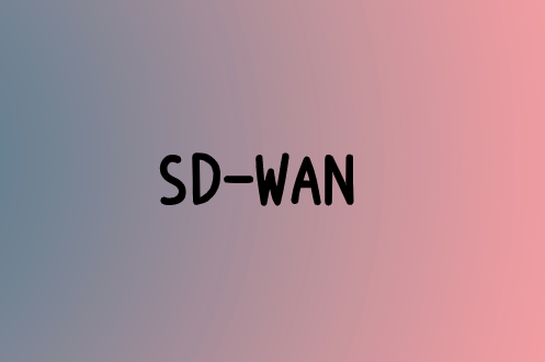為什么要部署SD-WAN等替代方案?