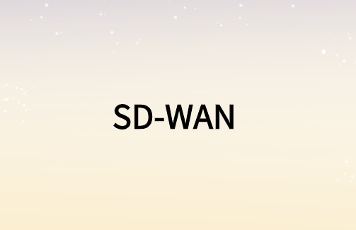 加速視頻業務的SD-WAN