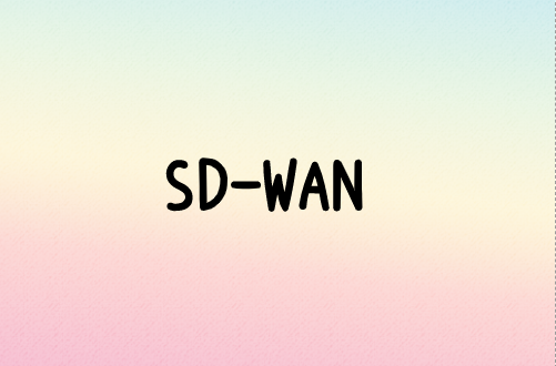 關于SD-WAN的替代方案