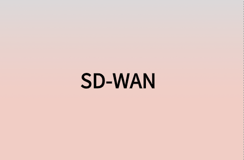 對企業而言，SD-WAN意味著什么?