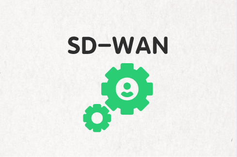 接管WAN管理的SD-WAN