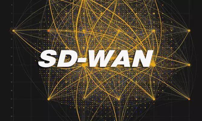 SD-WAN為企業實現異地組網