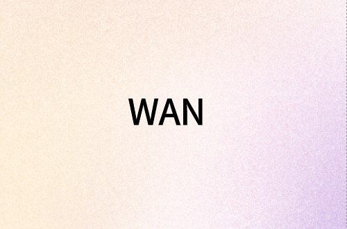 廣域網(WAN)接口類型