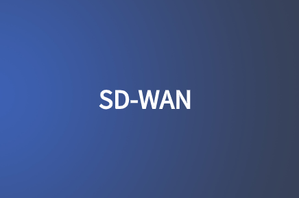 SD-WAN海外加速