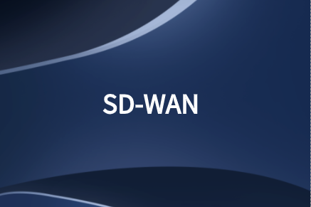 加速SD-WAN