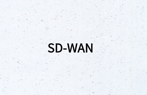 什么類型的企業有必要部署SD-WAN?