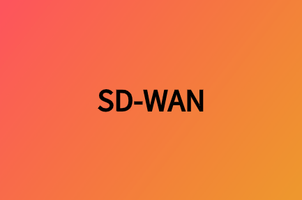 SD-WAN公有云