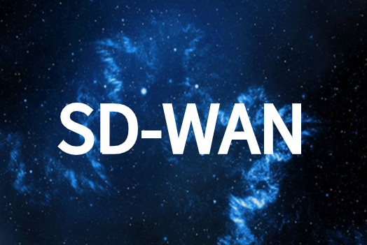 SD-WAN體系結構類型