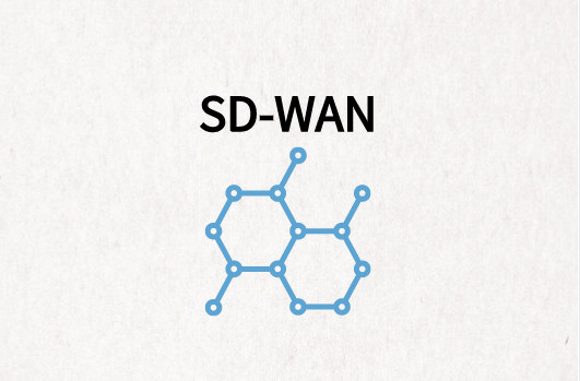 企業分支SD-WAN組網解決方案