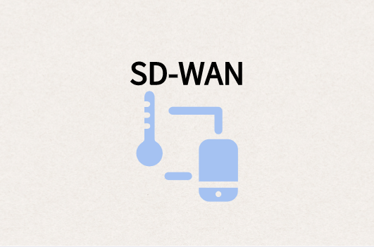 SD-WAN可擴展性要求