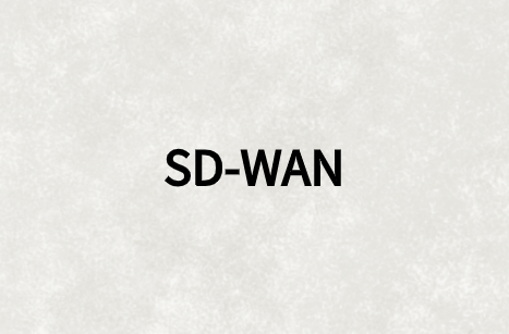 SD-WAN為企業有效增加分支站點帶寬需求